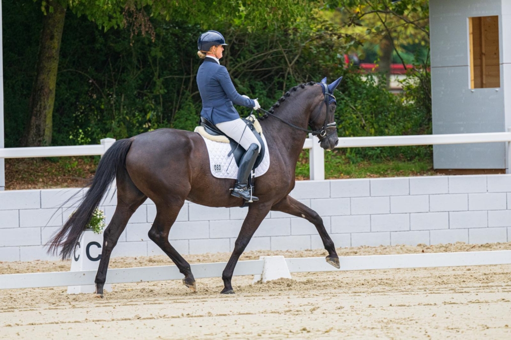 WhatsApp Image 2025-11-08 at 11.41.56 (1)